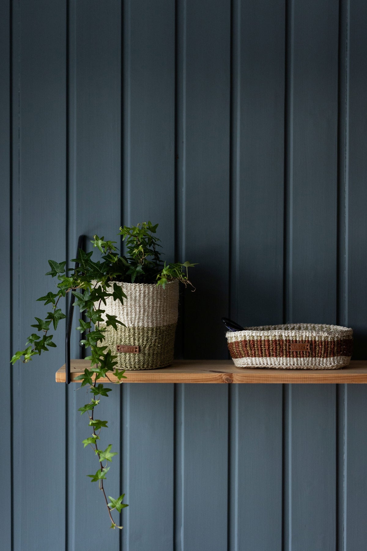 Others Striped Green Flower Pot