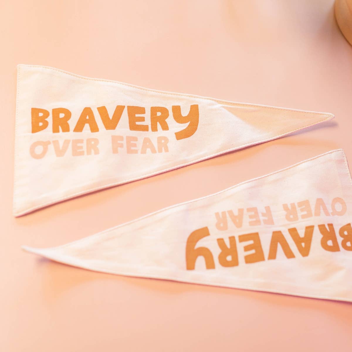 “Bravery Over Fear” Canvas Pennant | Handmade Wall Flag