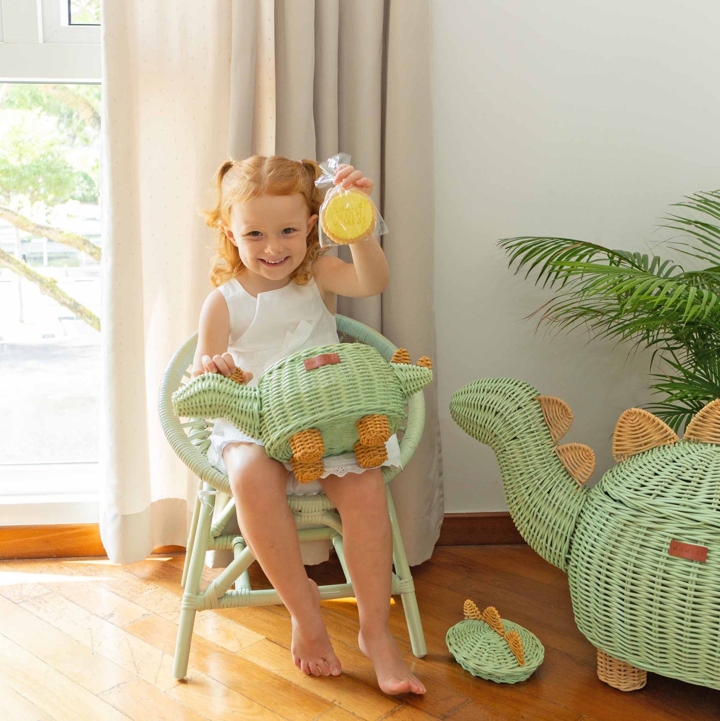 Dinosaur Basket Small - Mint Green