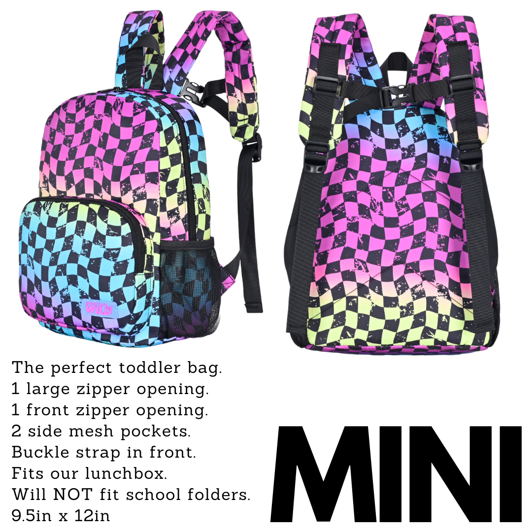 Rainbow Checker Bags