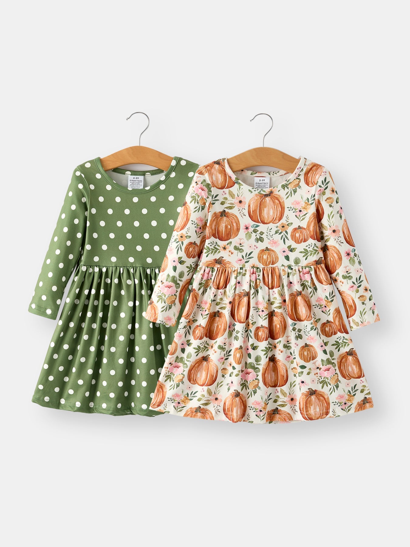 Fall Thanksgiving & Halloween Pumpkin Floral Print Long Sleeve Dress(2pcs)
