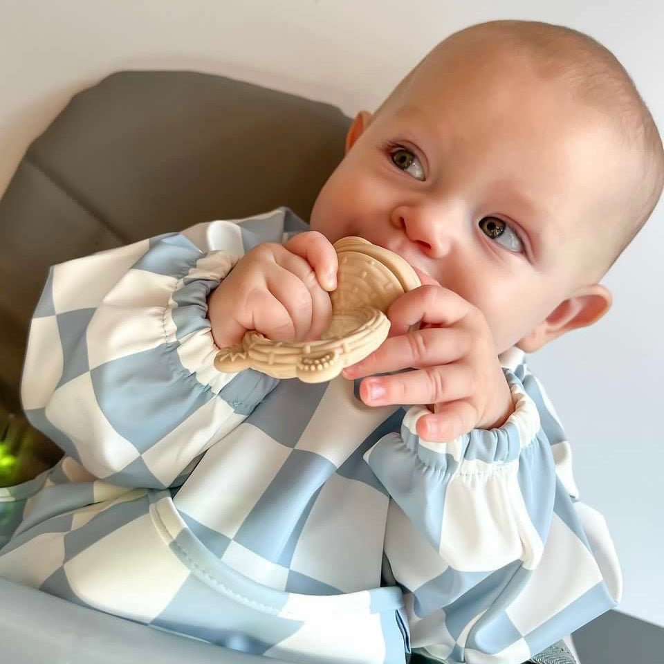 The Nourishing Nibbler Set