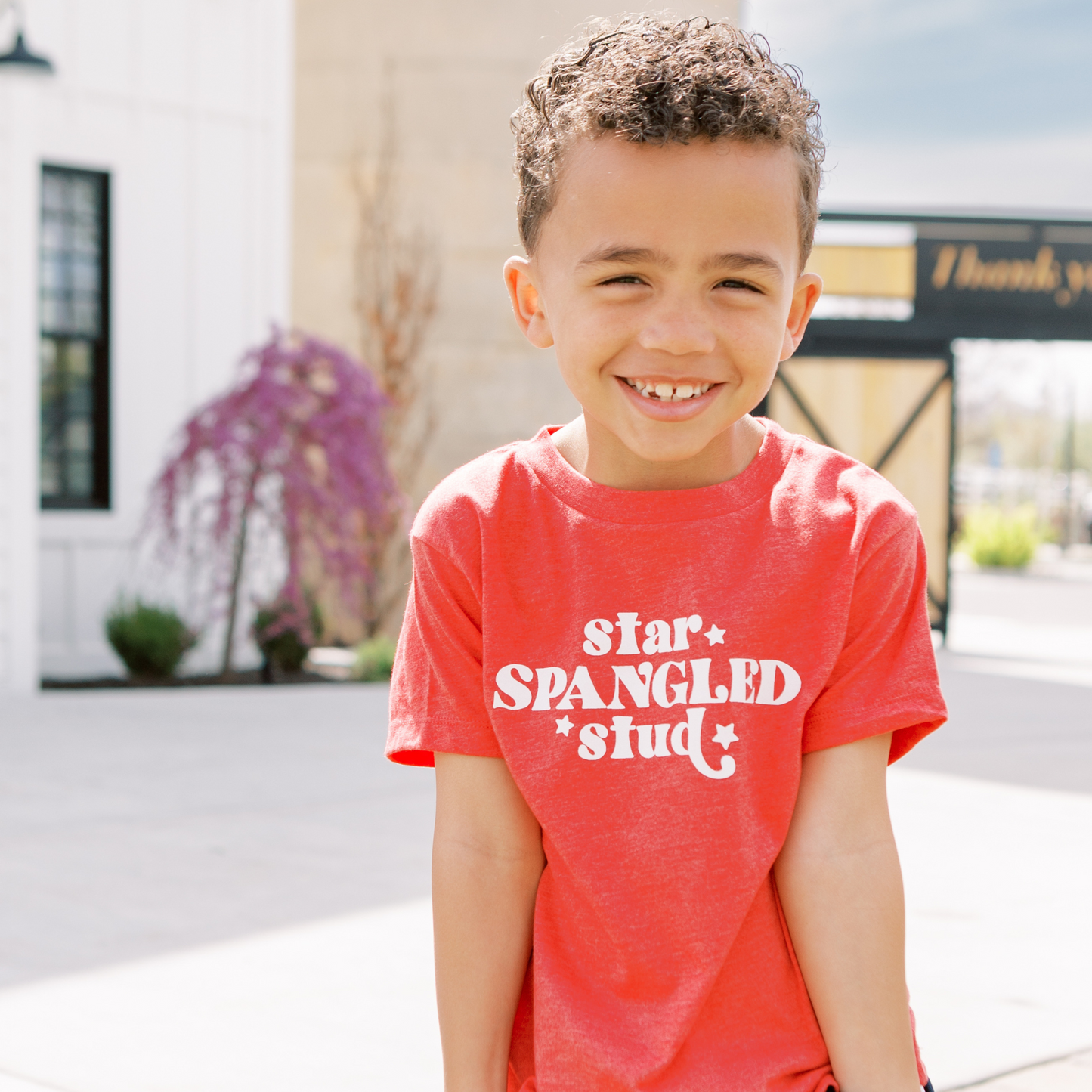 Star Spangled Stud