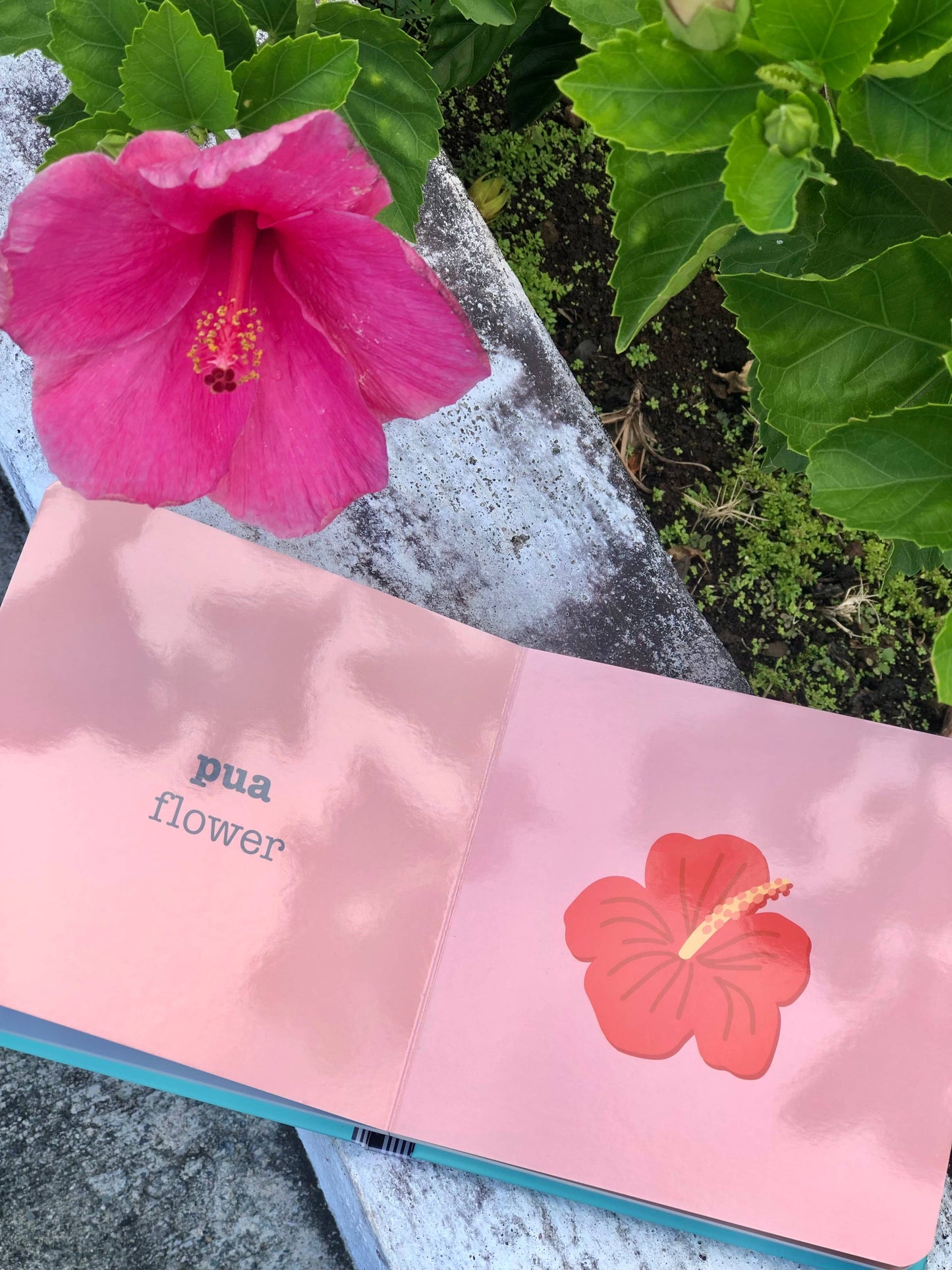 ALOHALAND Keiki Word Book