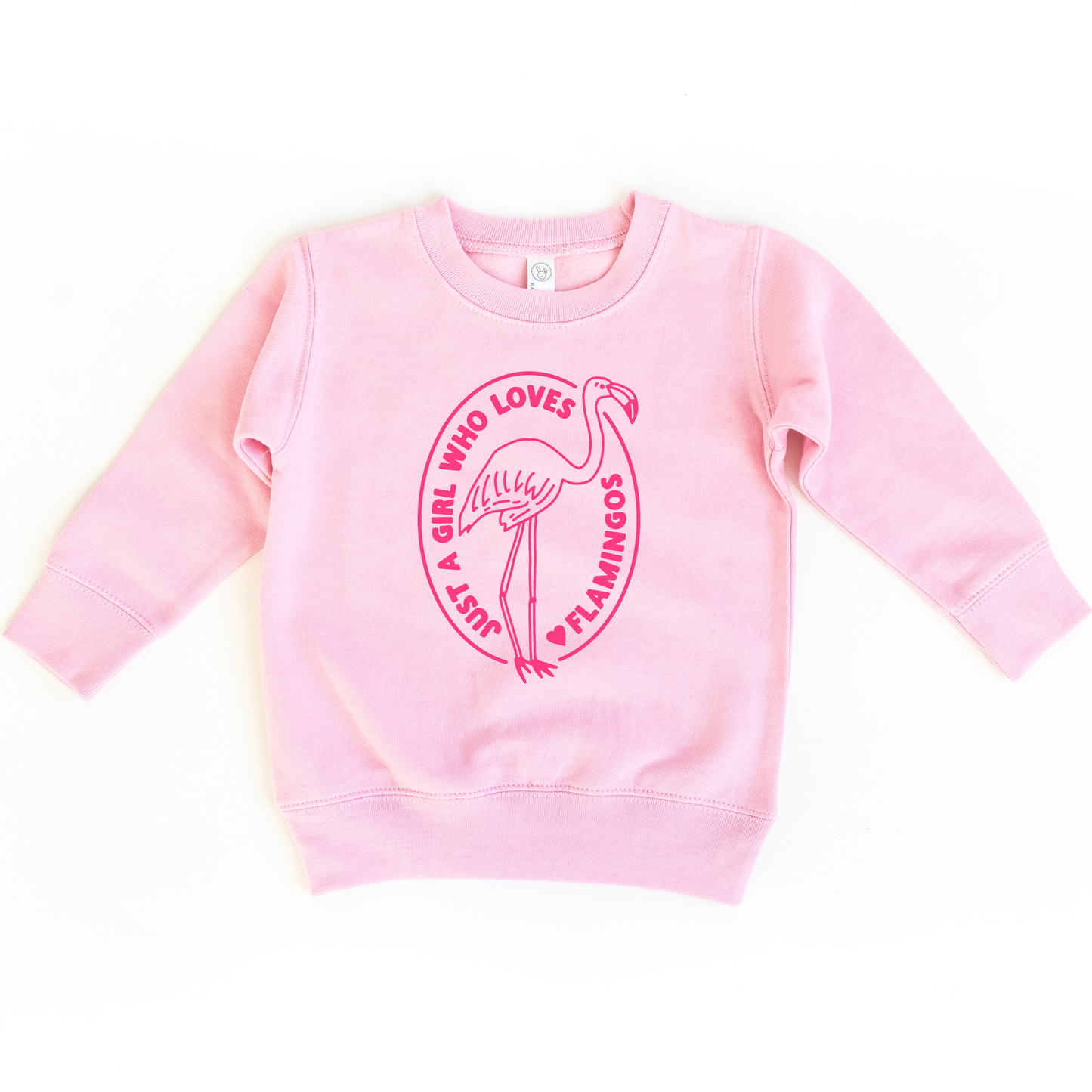 Just a girl who loves Flamingoes