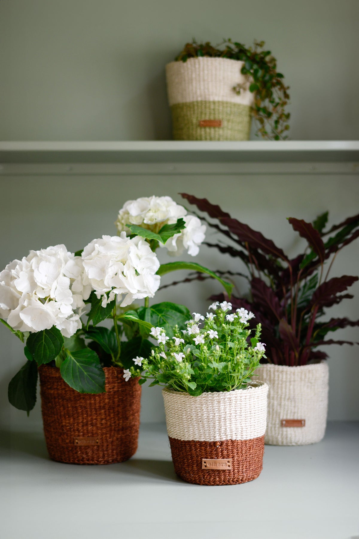 Others Striped Brown Flower Pot