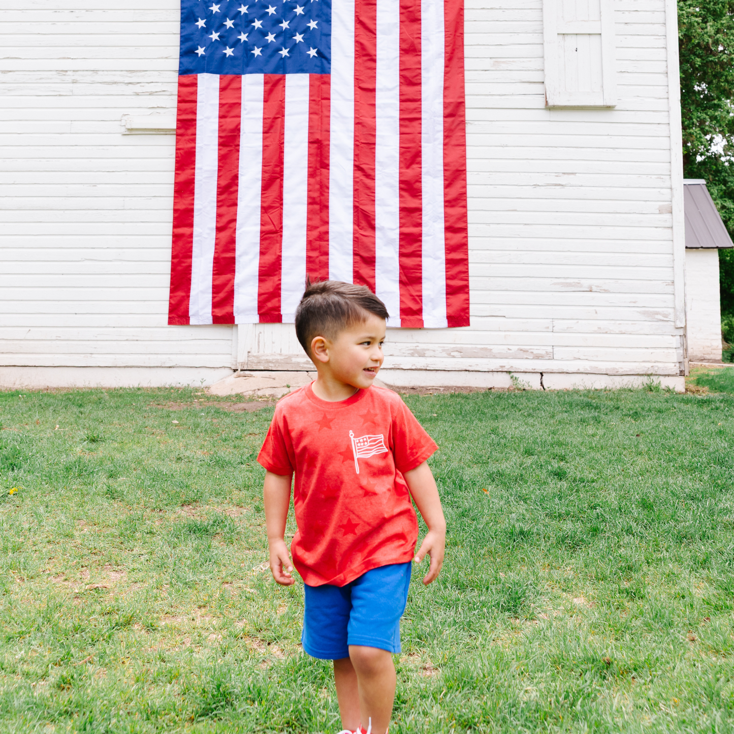 American Flag Star Spangled