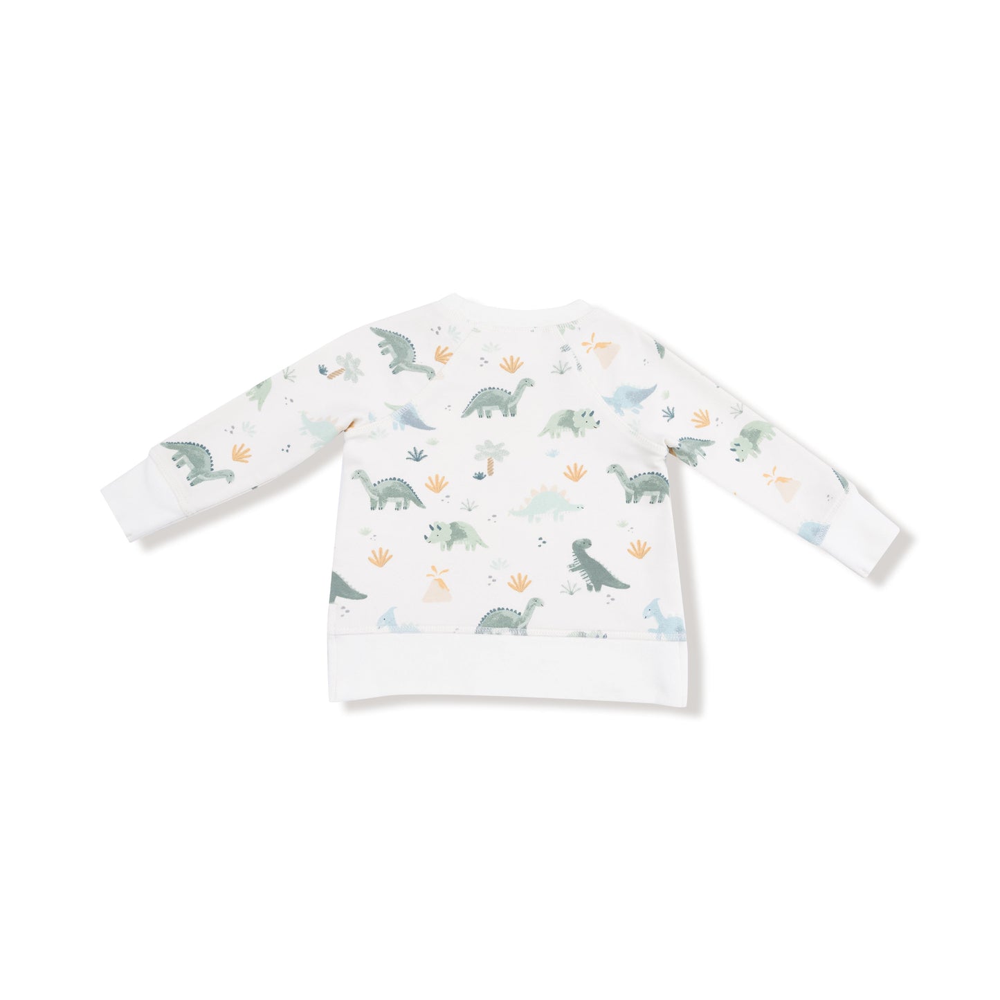 Raglan Sweatshirt + Jogger Set