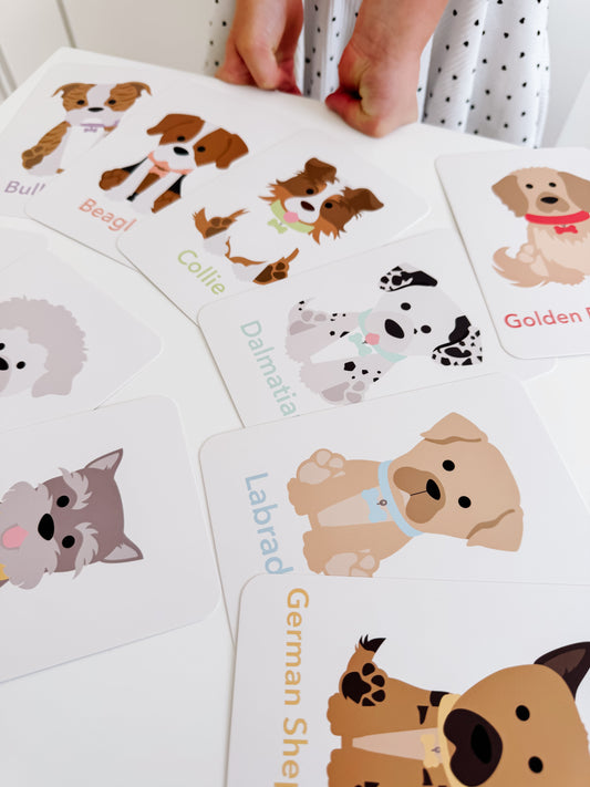Dog Breed Flash Cards