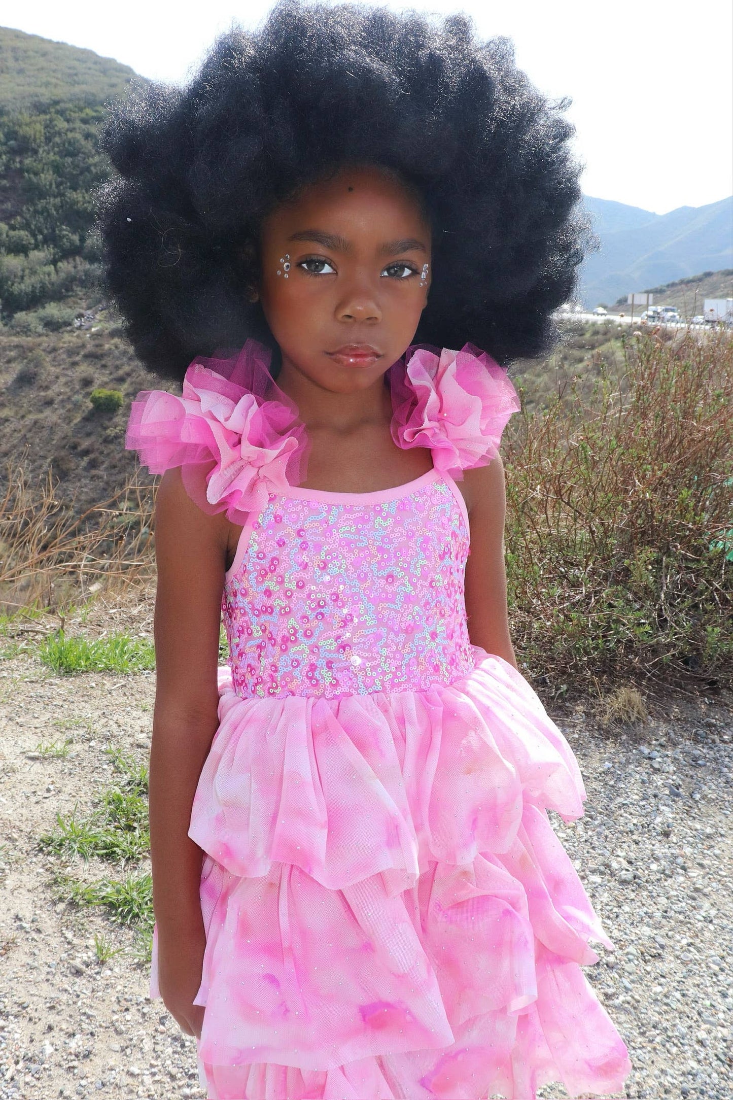 Ombre Pink Sparkle Tulle Dress