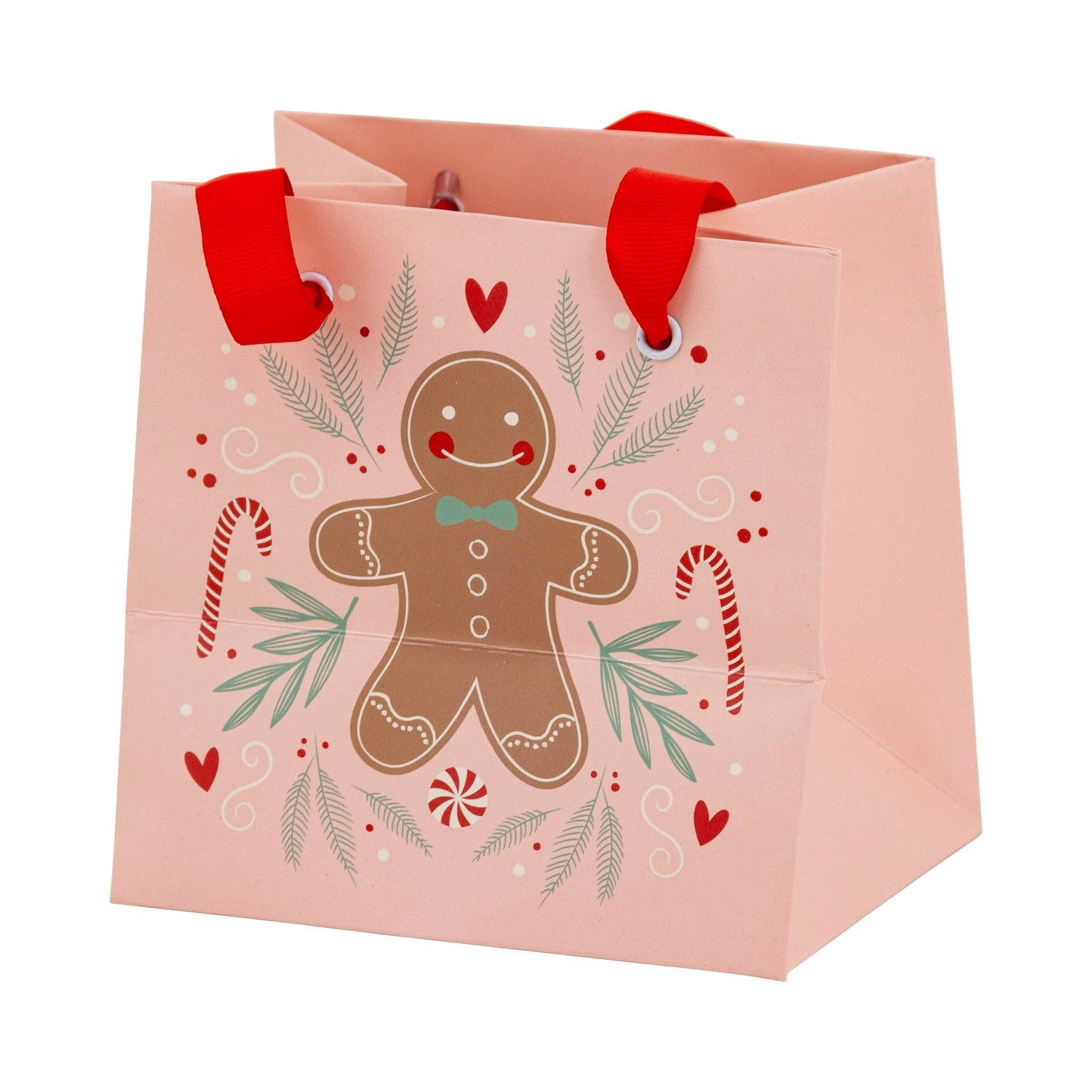 Ginger and Cane Gift Bag