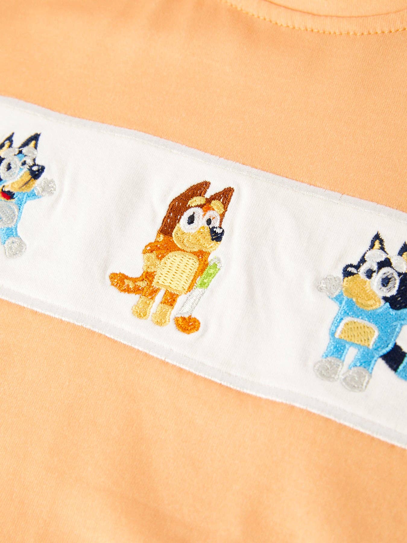 Blue Dog Embroidered Boys Set