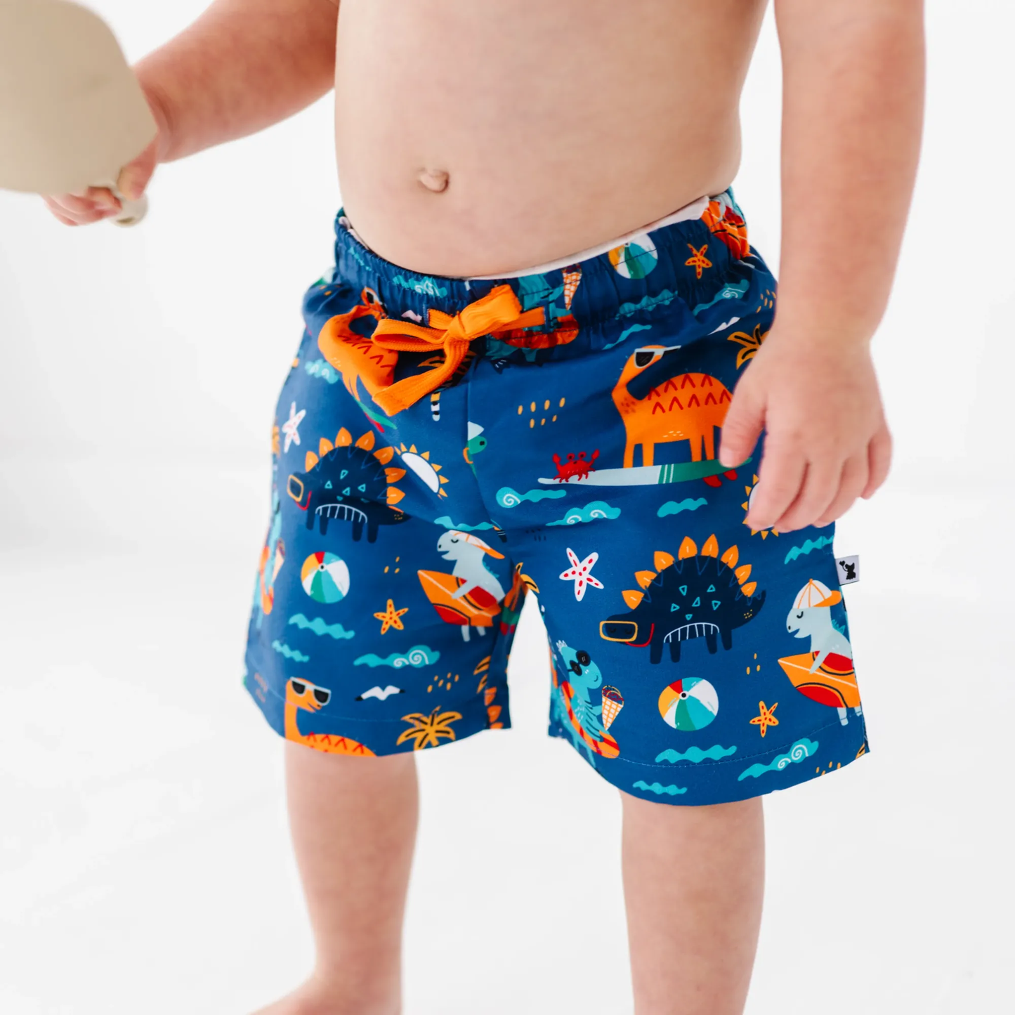 Blue Dino Boys Swim Trunks