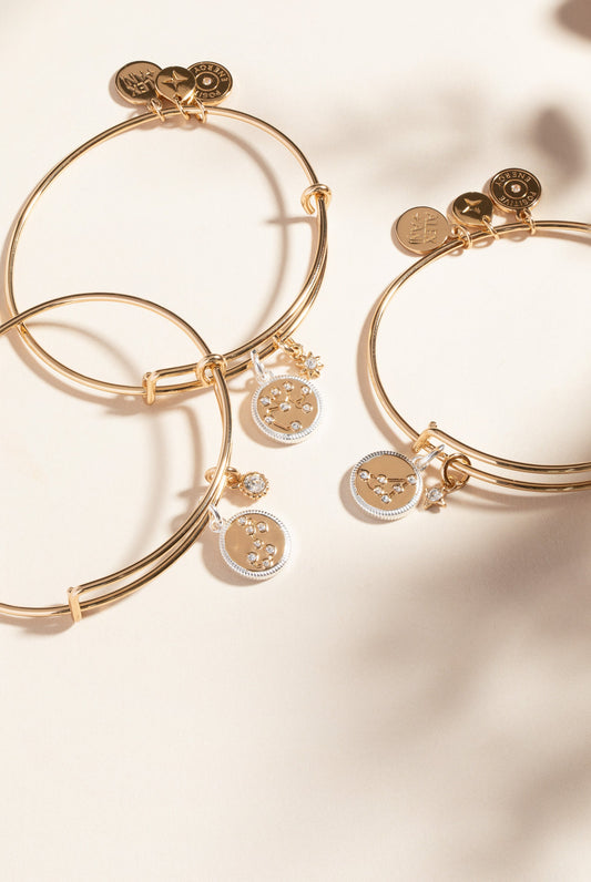 Capricorn Zodiac Charm Bangle