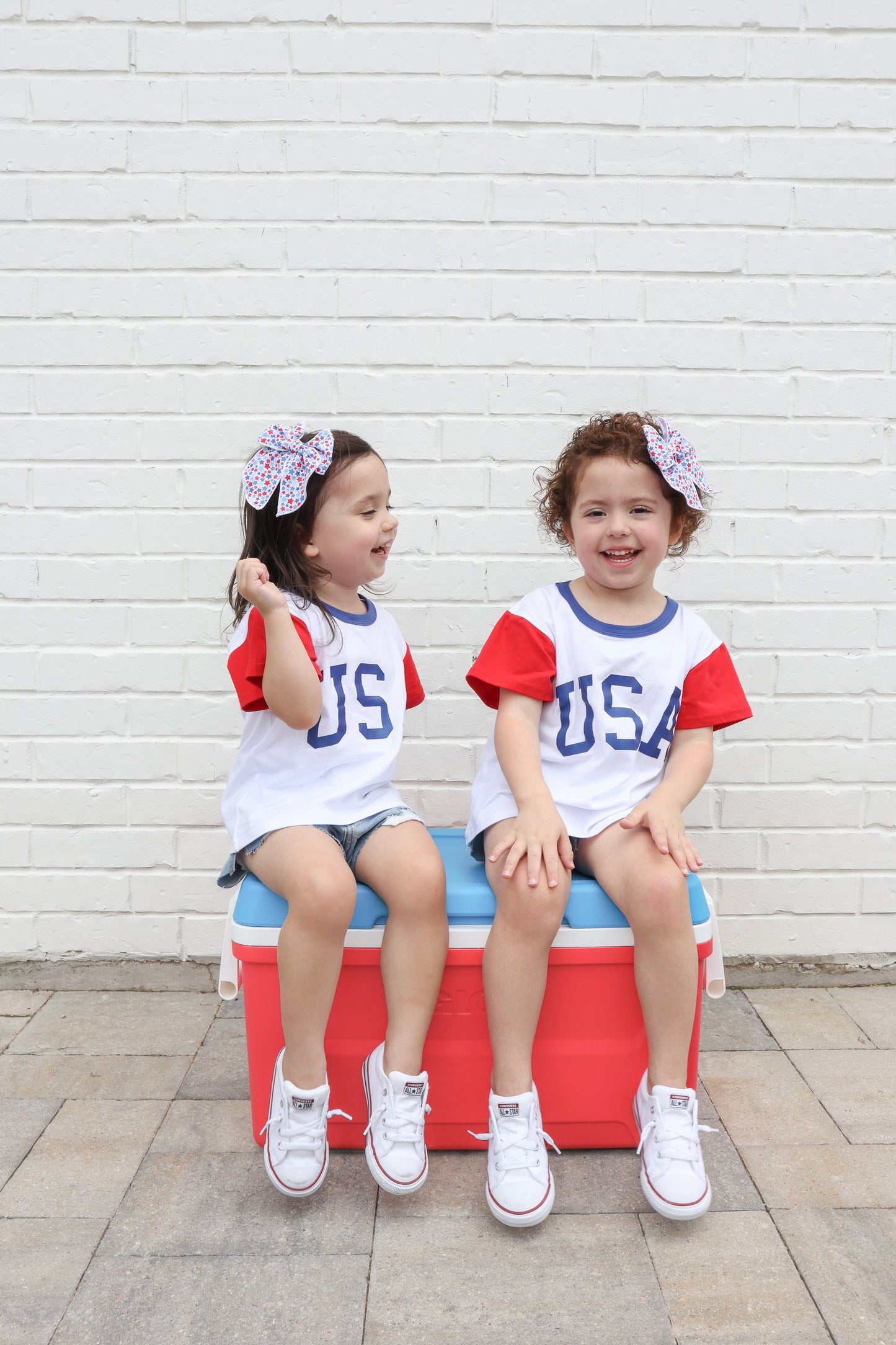 AK-USA Tee