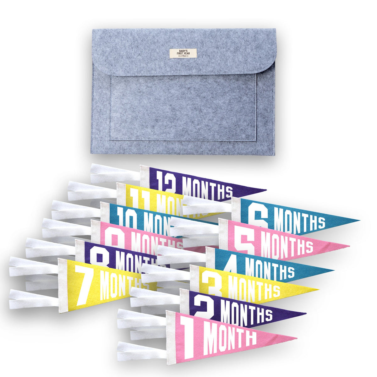 Baby Milestone Pennant Gift Set