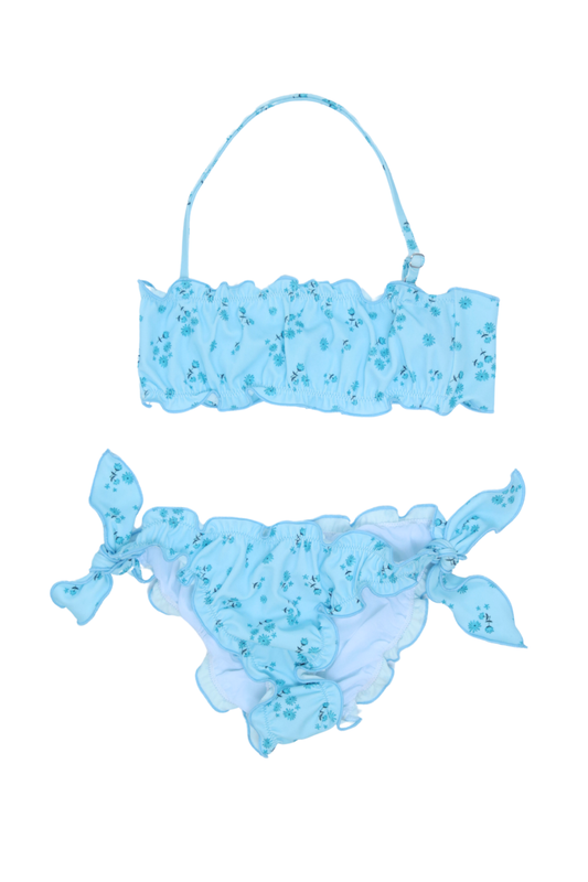 CAROLINA BLUE PETAL