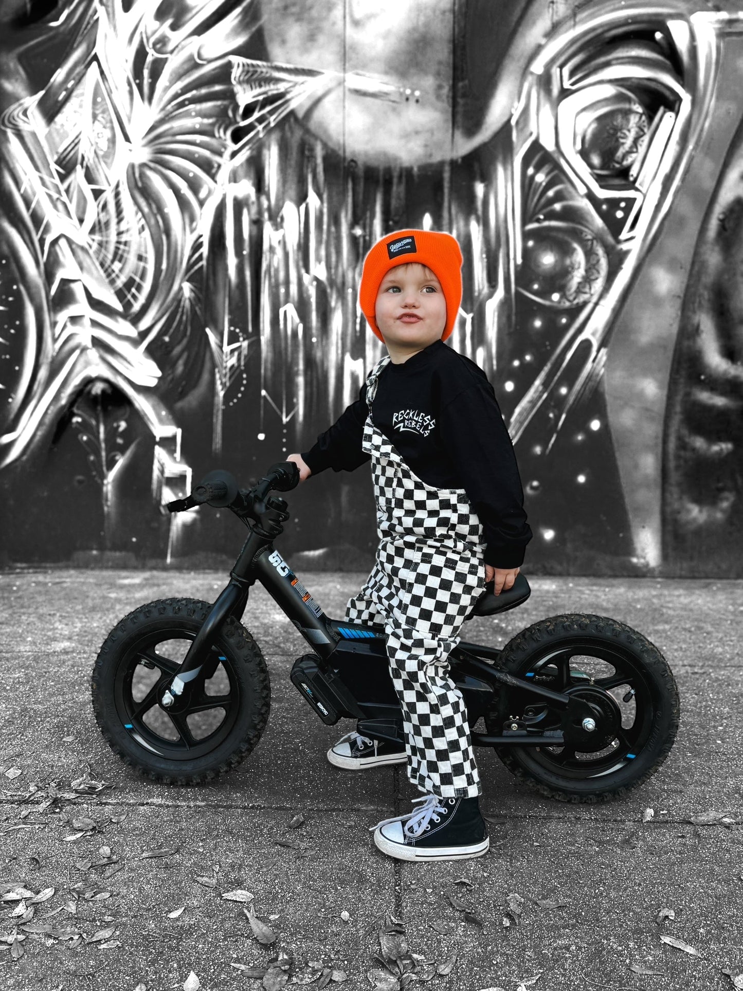 Reckless Rebels