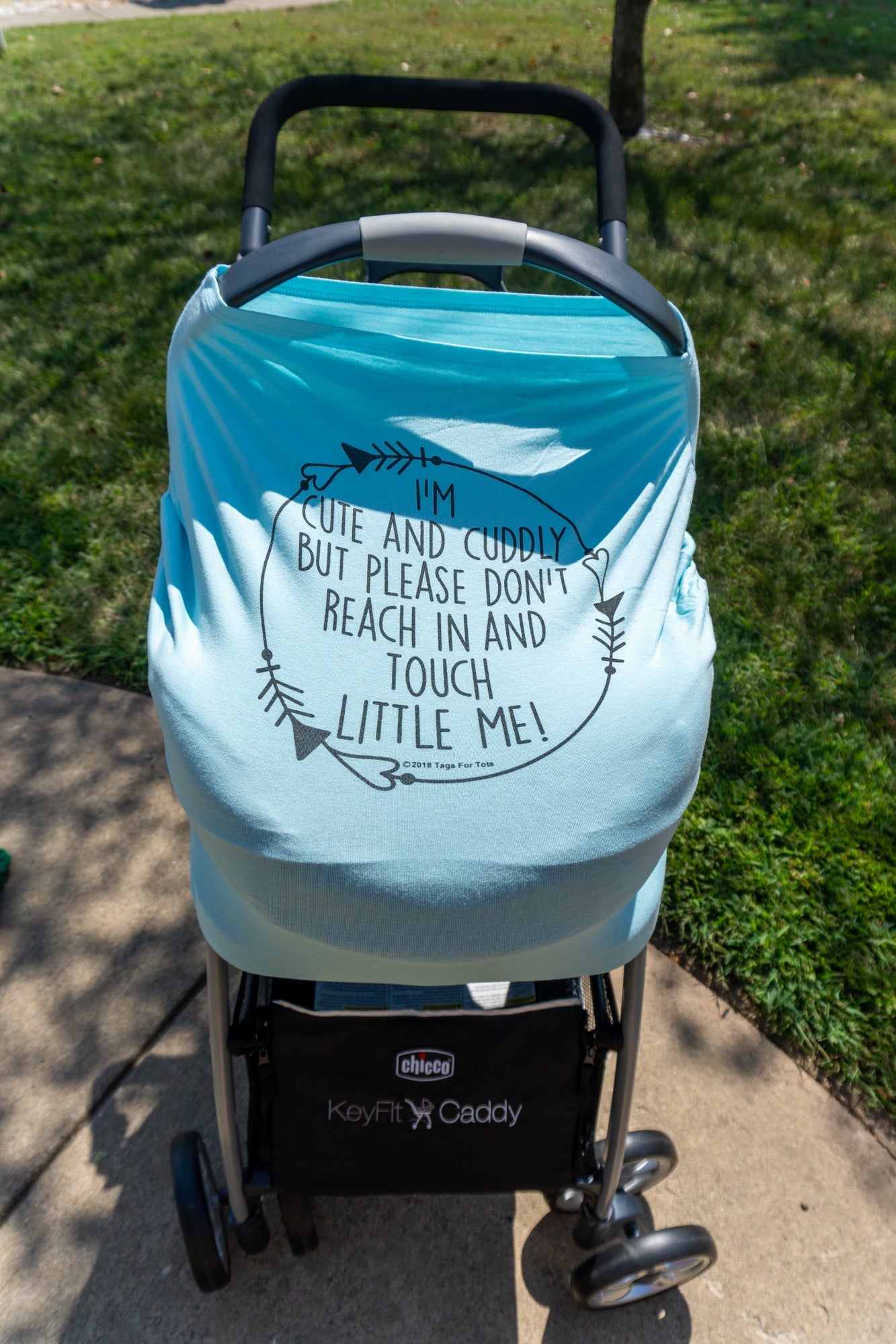 Light Blue Car Seat 5 in 1 Cover – I'm Cute & Cuddly But Please Don't Touch Little Me