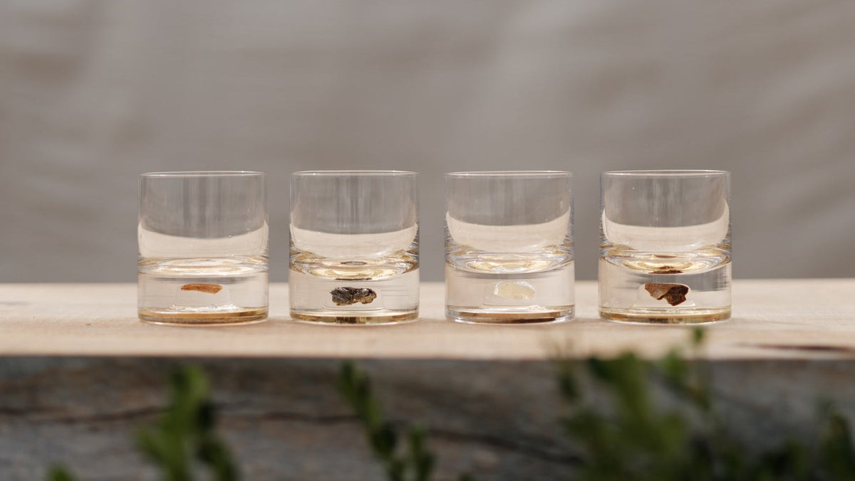 Meteorite Crystal Tumbler - Set of 2
