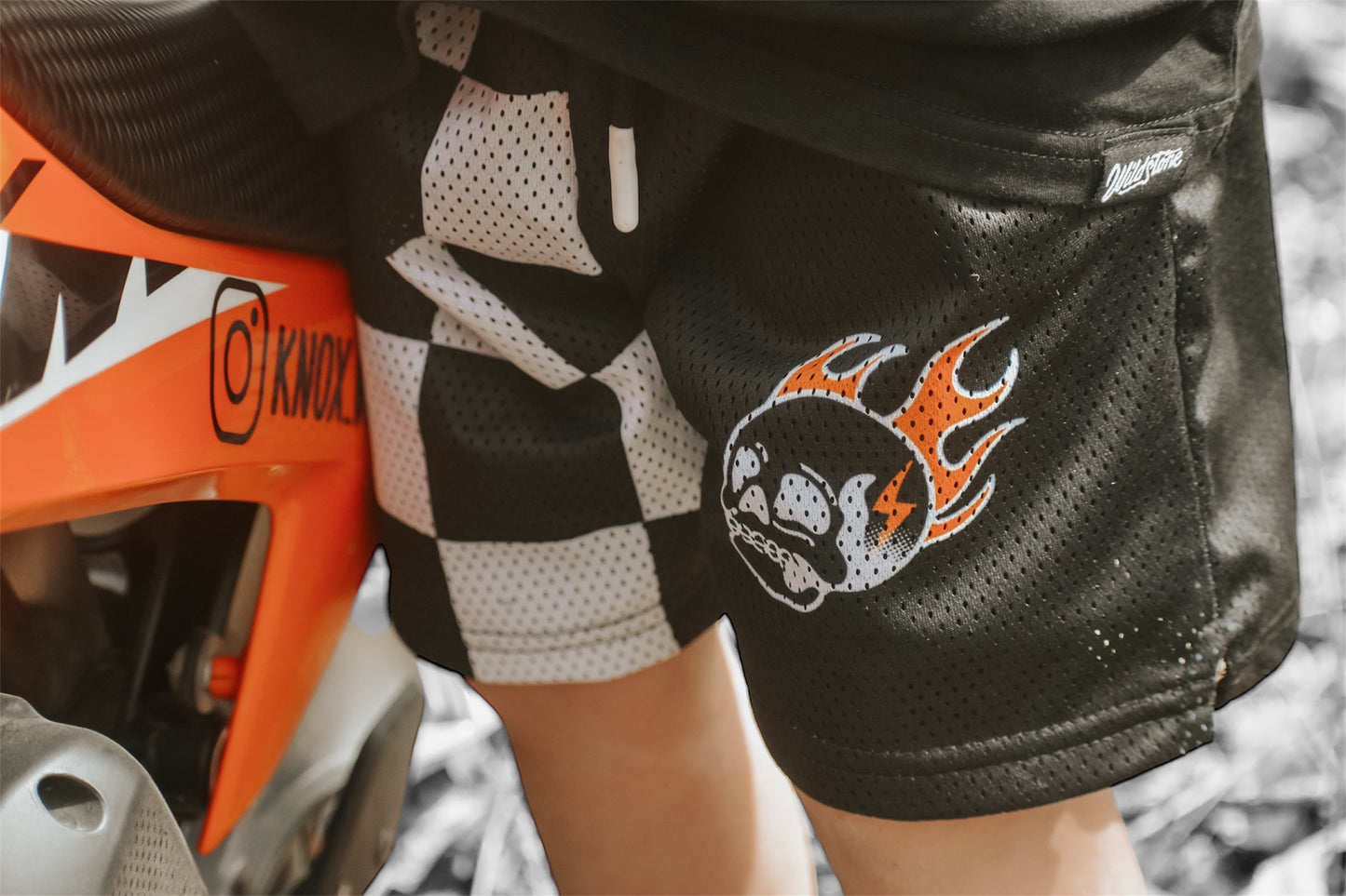 Burn Out Mesh Shorts