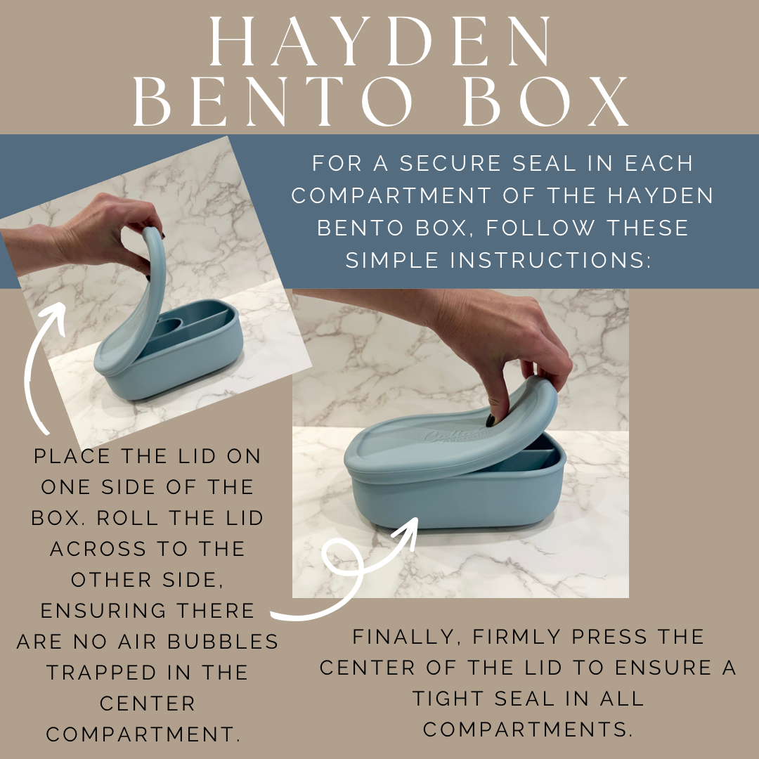 Hayden Bento Box - Checkered