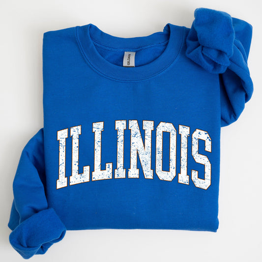 Illinois, Football, Sports, Game Day, Big Game, Touchdown, Tailgate Party, University, College, State Sweatshirt