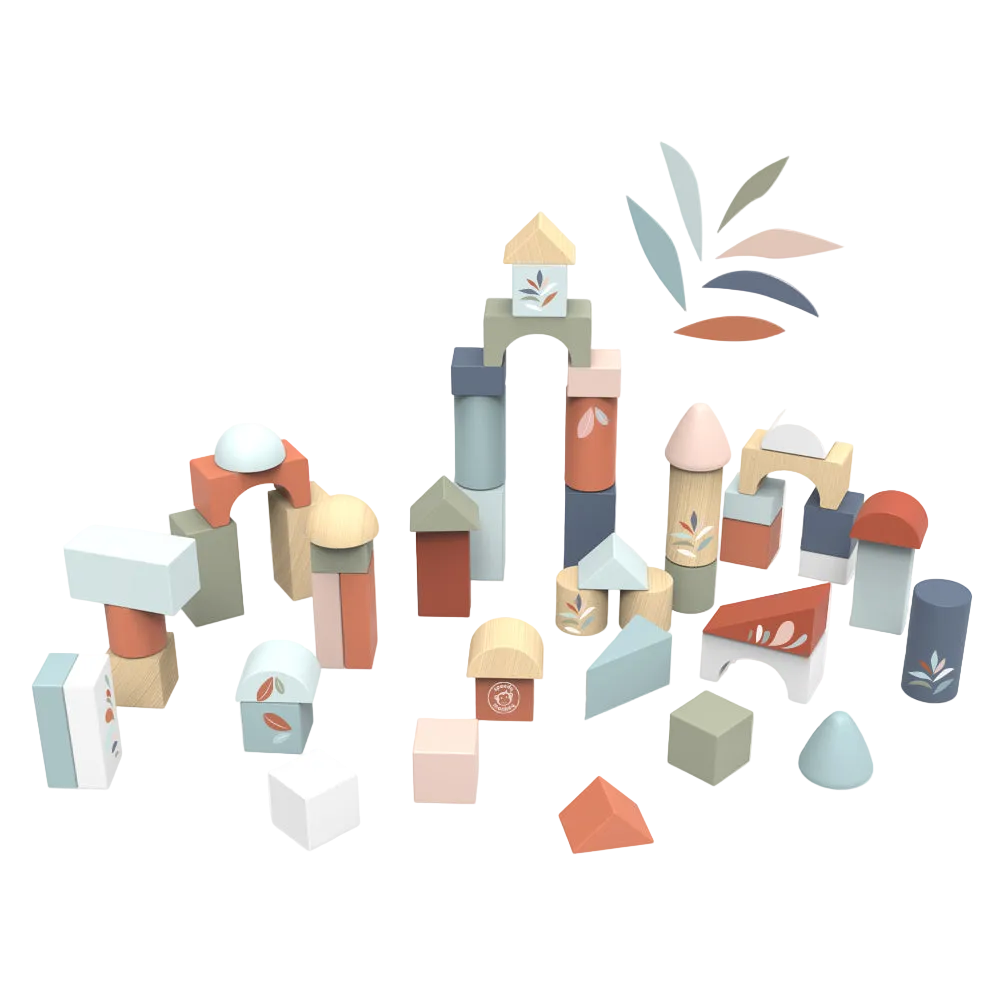Building blocks (50 pieces)