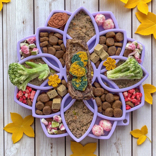Mandala Softie eTray Shallow Slow Feeder Dog Bowl with Suction Cups | USA Made