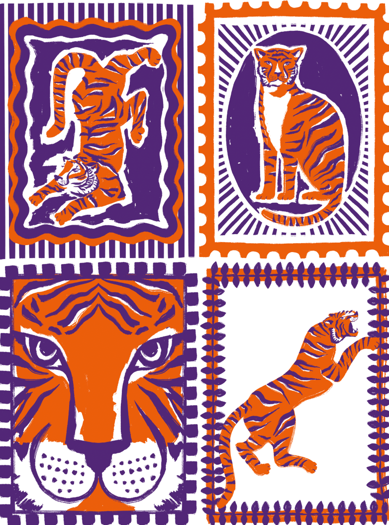 Girls Maya Tiger Game Day Dress | Orange & Purple
