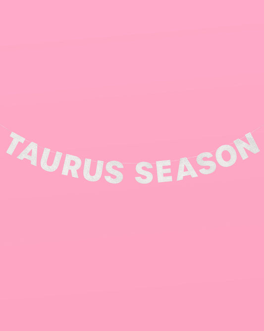 Taurus Season Banner - silver glitter banner
