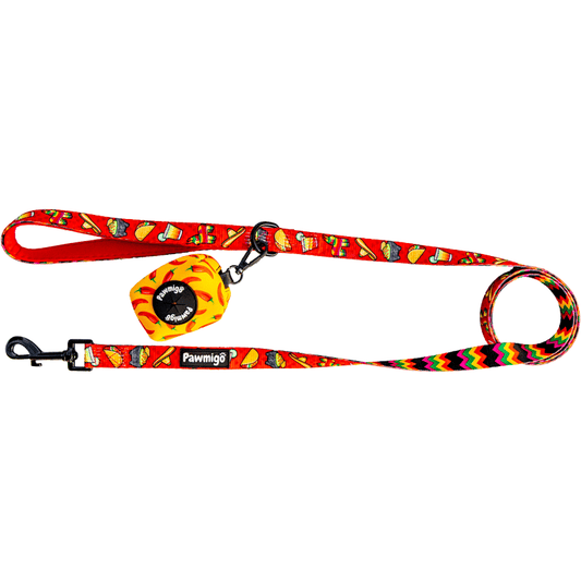 Taco Tuesday Leash Kit