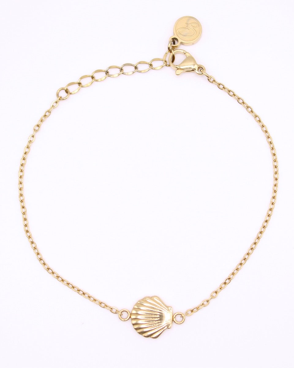 Sea Shell Charm Bracelet Set