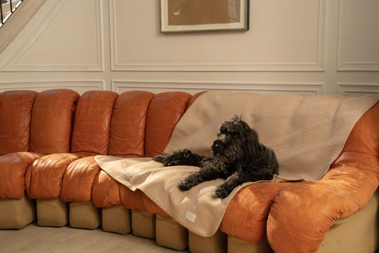 Brigette Romanek | Luxury Pet Throw Blanket - Taupe