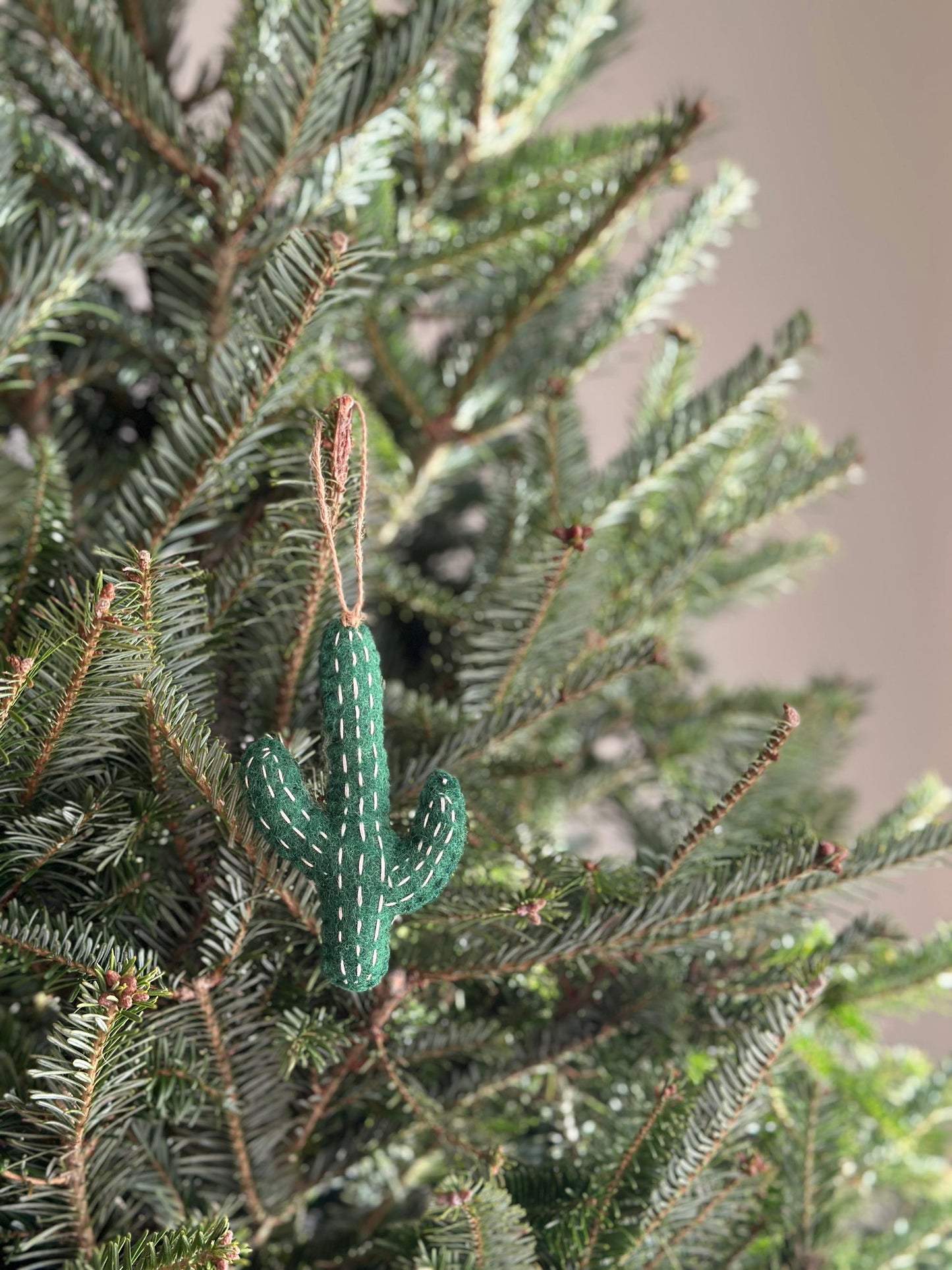 Cactus Ornament