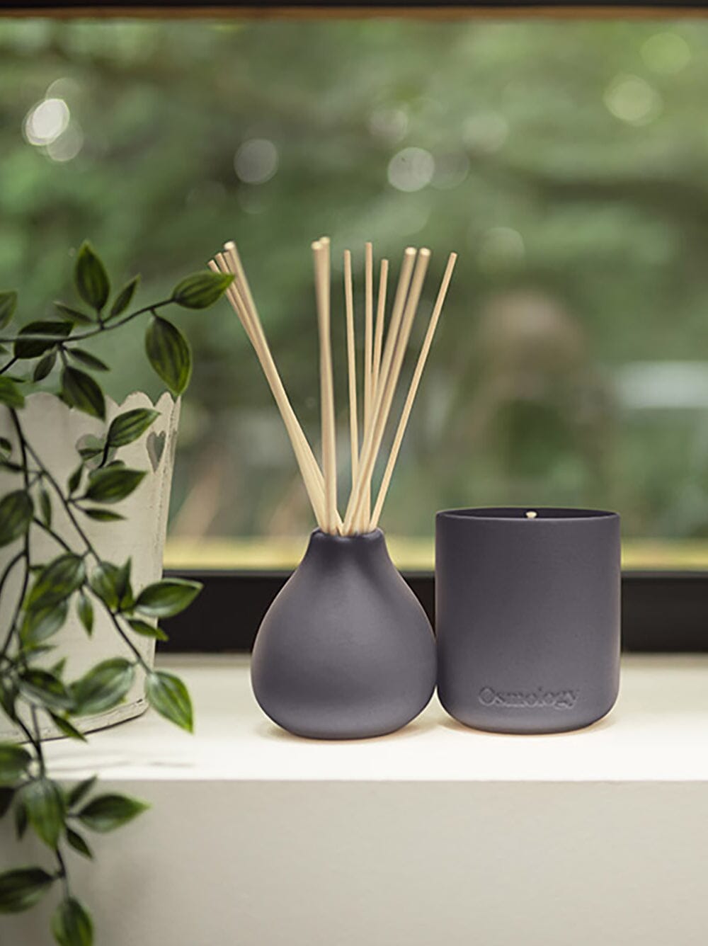 Indian Sandalwood Reed Diffuser - Pepper Raspberry and Tonka
