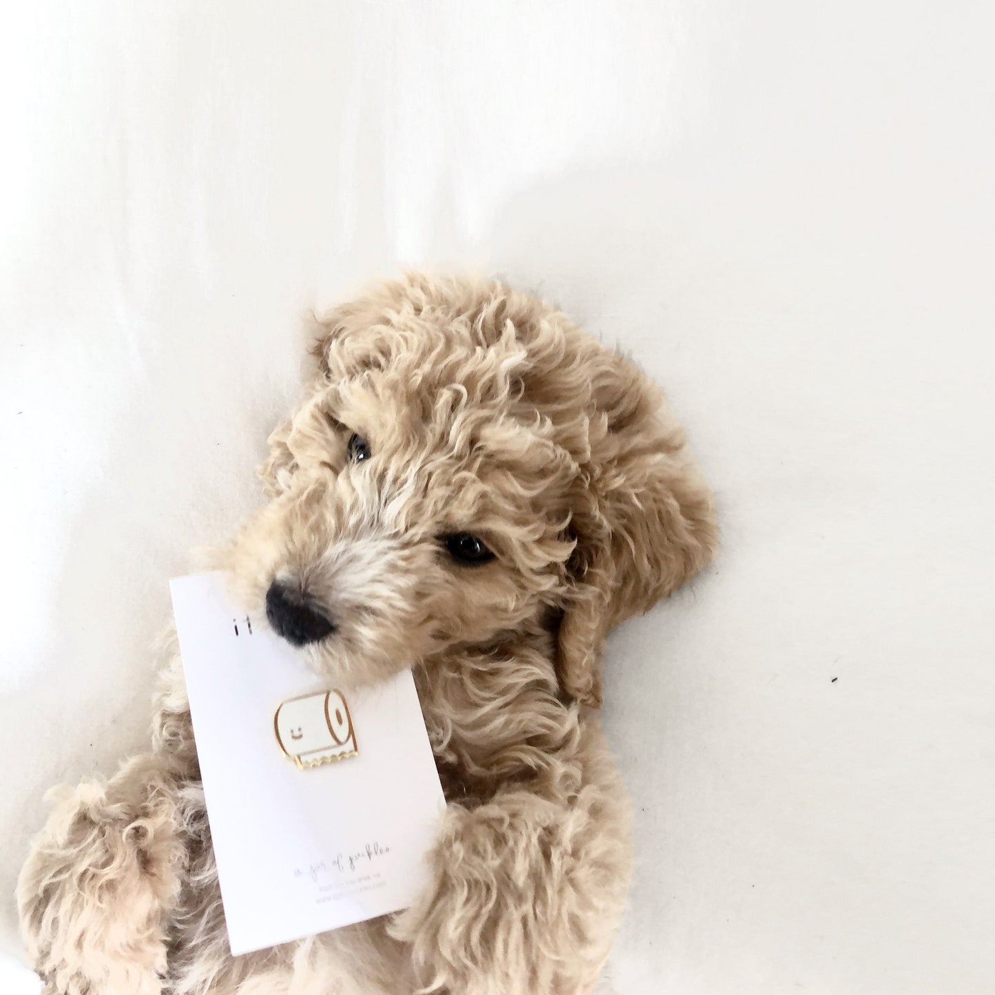 Toilet Paper Pin