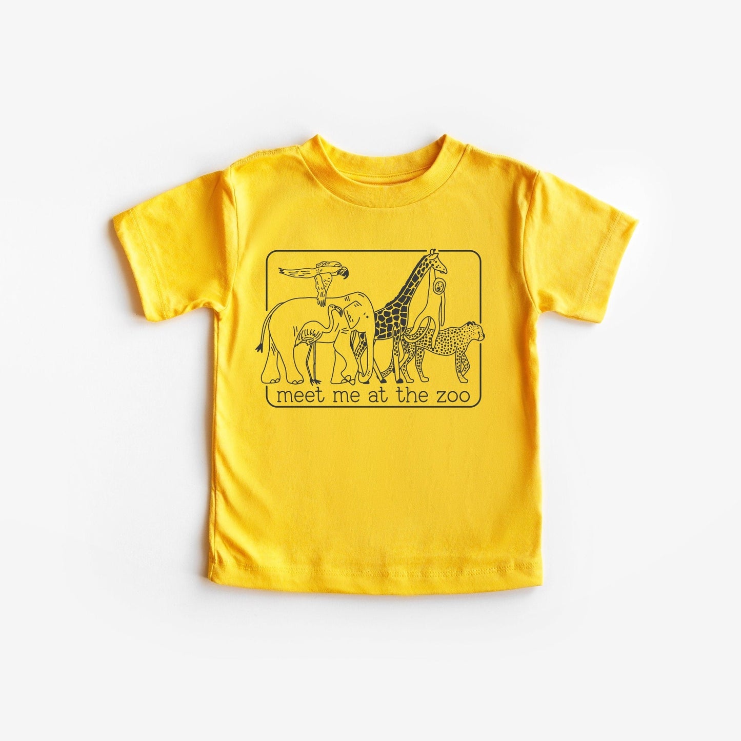 Meet me at the Zoo