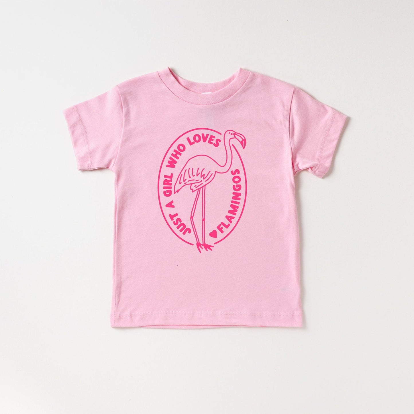 Just a girl who loves Flamingos