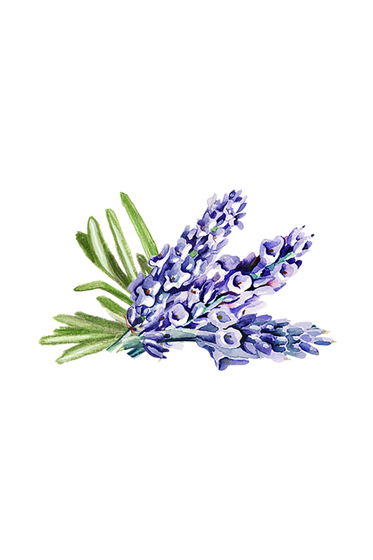 Lavender & Rosemary Essential Oil Blend