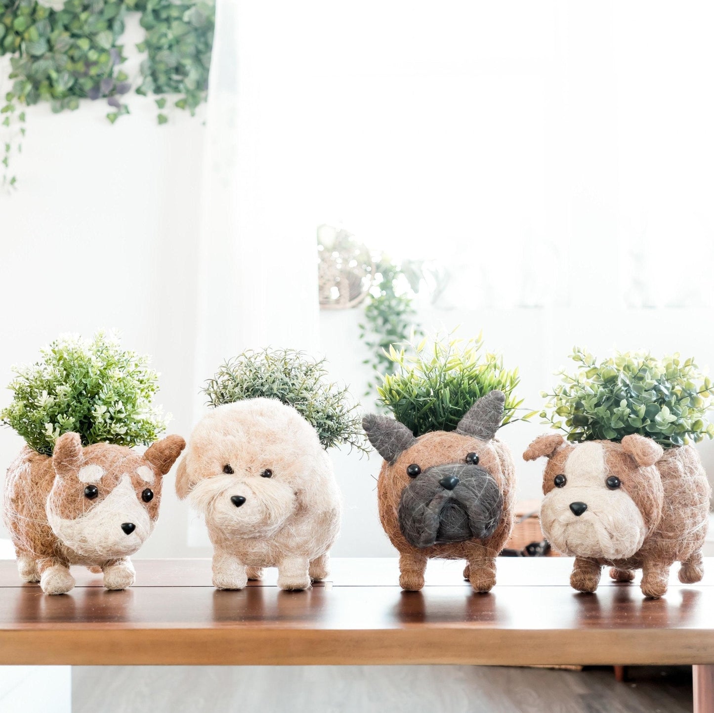 Poodle Planter - Coco Coir Pots | LIKHÂ
