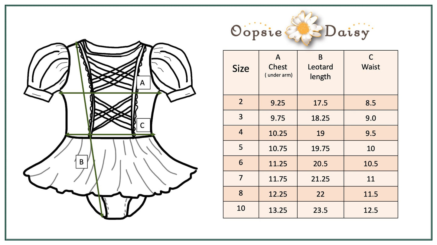 Princess Skirted Leotard