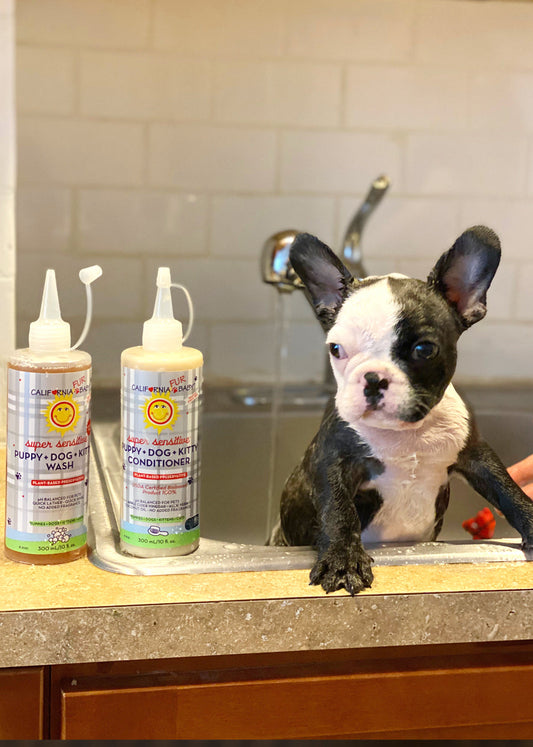 (No Fragrance) Super Sensitiveâ„¢ Puppy + Dog + Kitty Wash