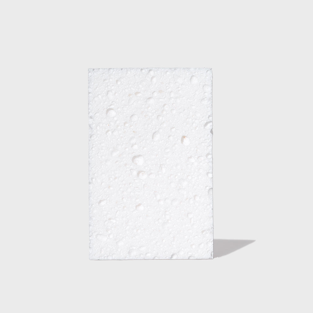 Scrubber Sponges (12 ct)
