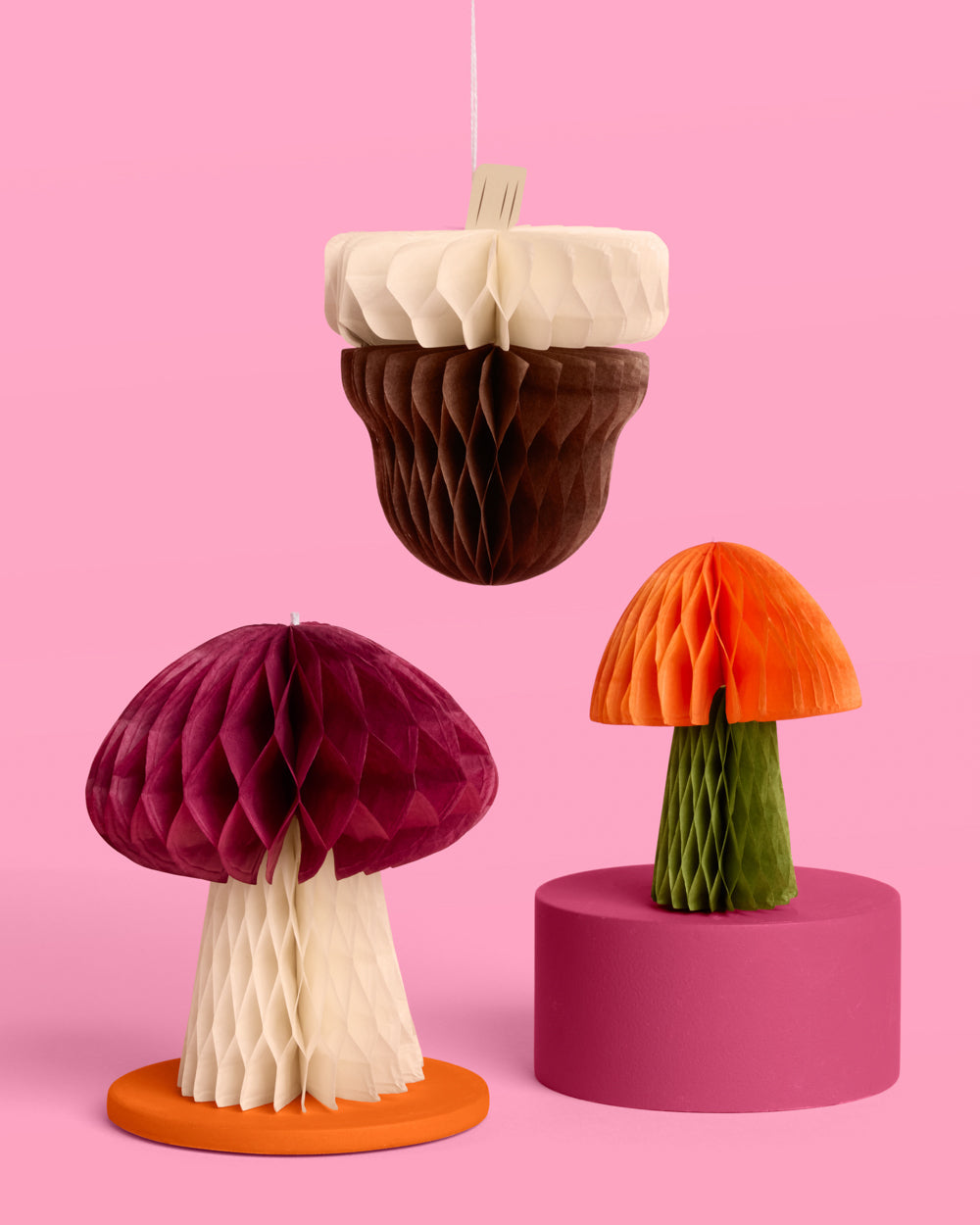 Fall Accordion Set - 6 paper accordions