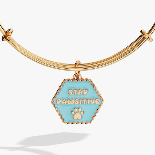 Dog 'Stay Pawsitive' Bangle