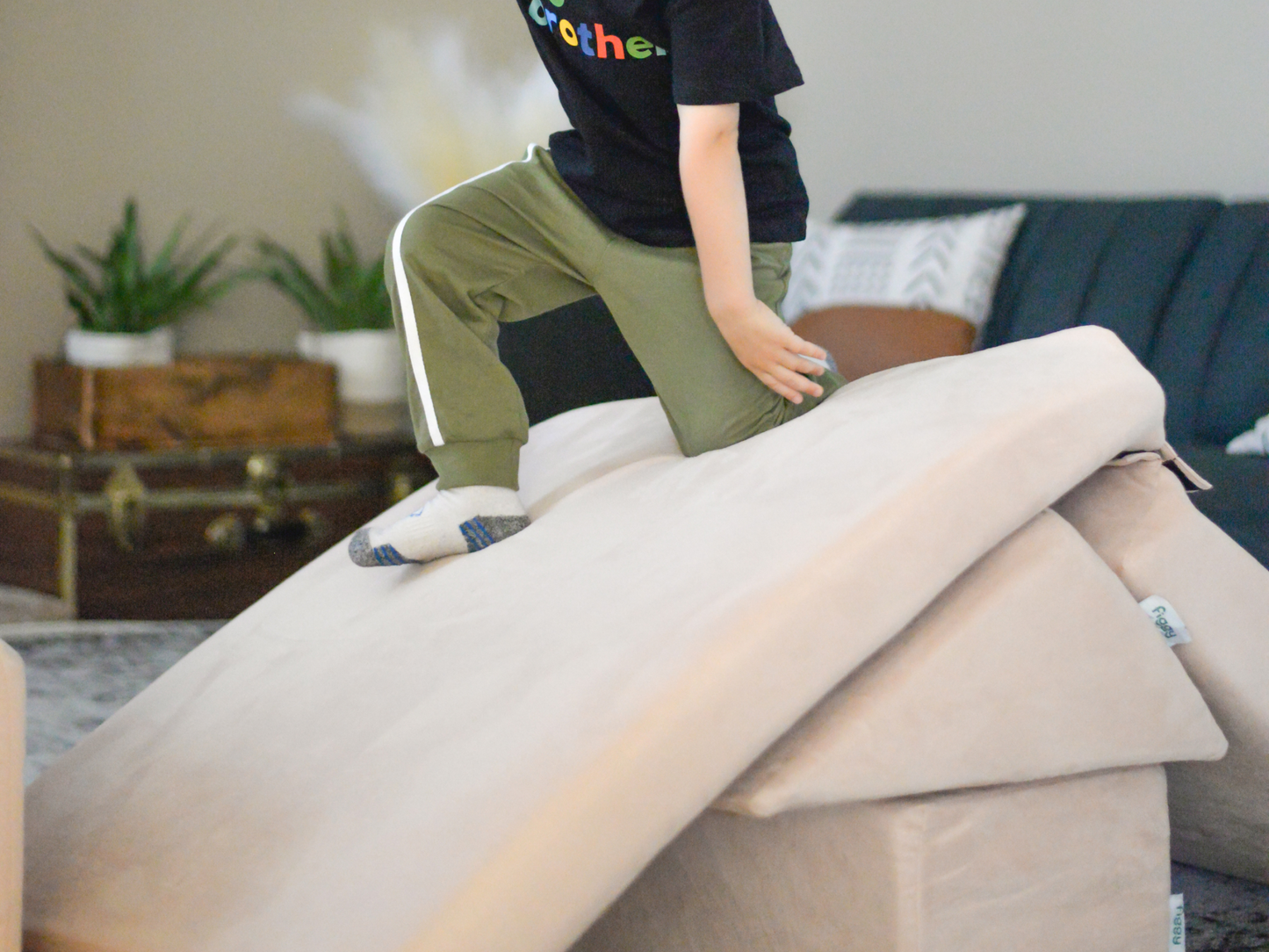 Figgy Wedge Pillow Pack