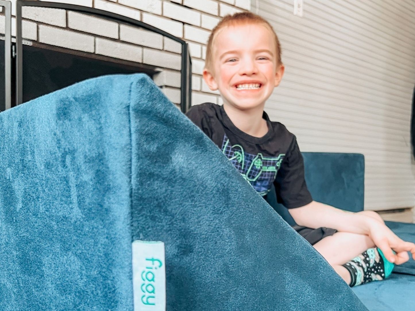 Figgy Wedge Pillow Pack