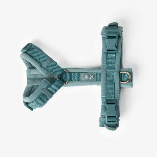 Blue - Velvet Dog Harness