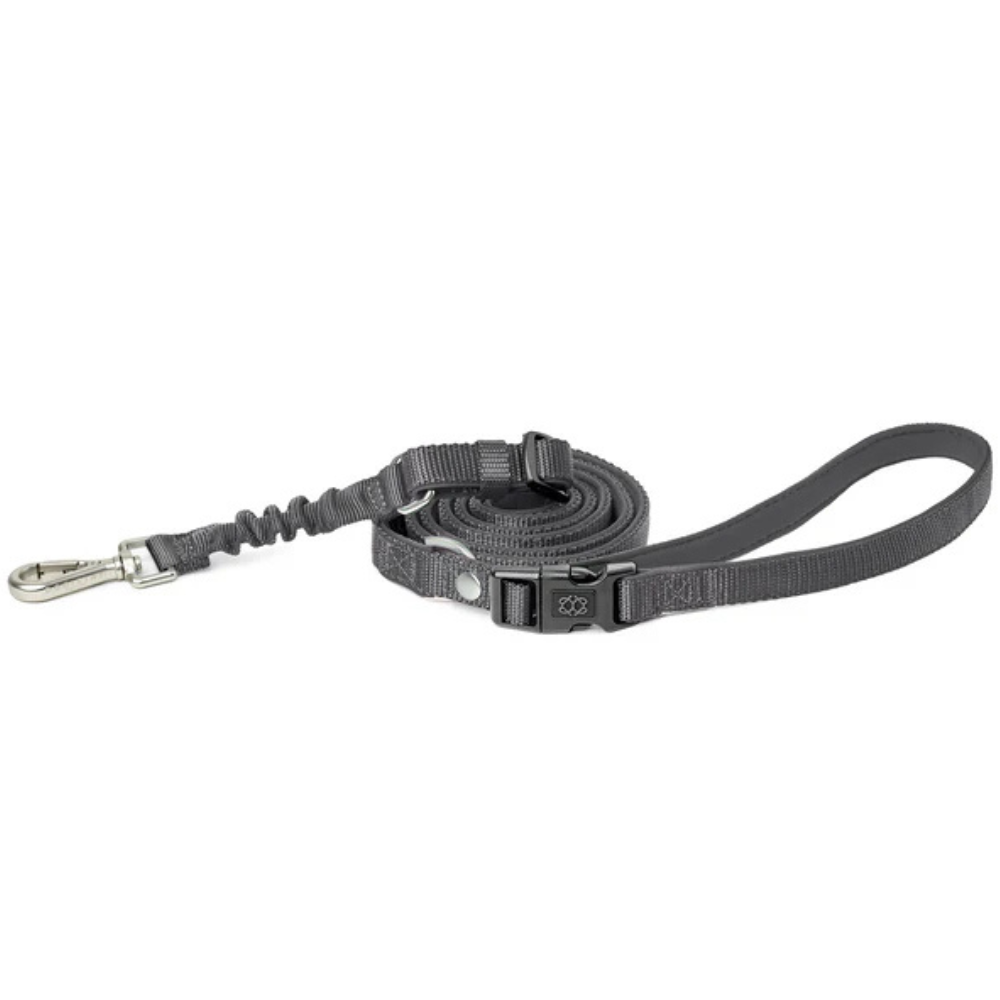 3-in-1 City Dog Leash - Steel